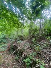 MLS #NWM2448186 img 0