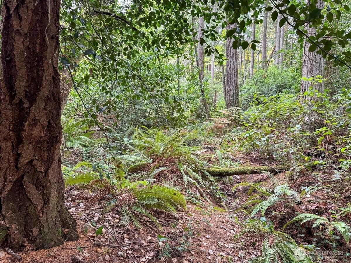 MLS #NWM2448409 img 0