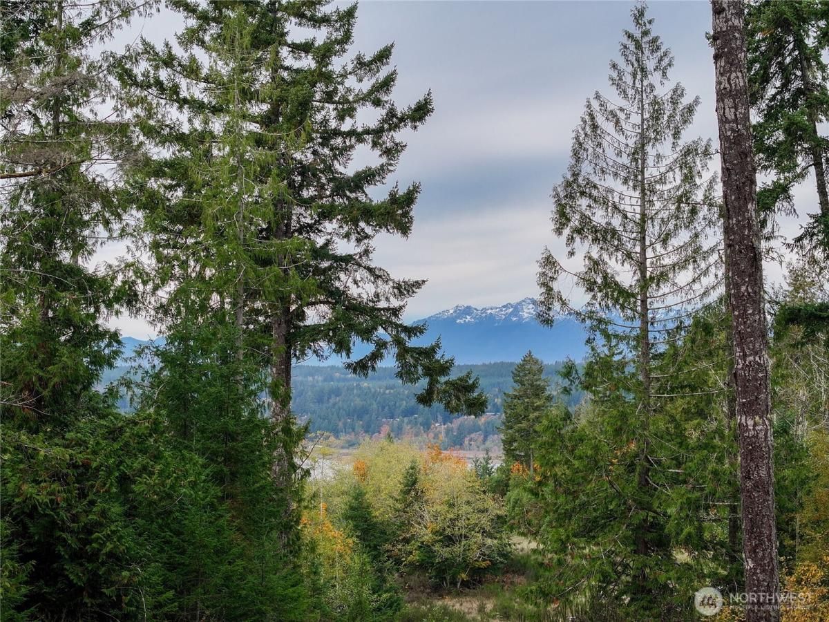 MLS #NWM2452096 img 0