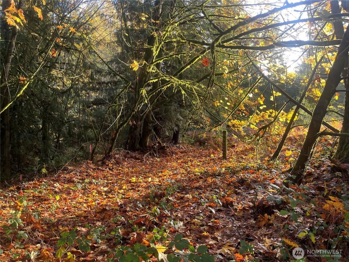 MLS #NWM2453002 img 0