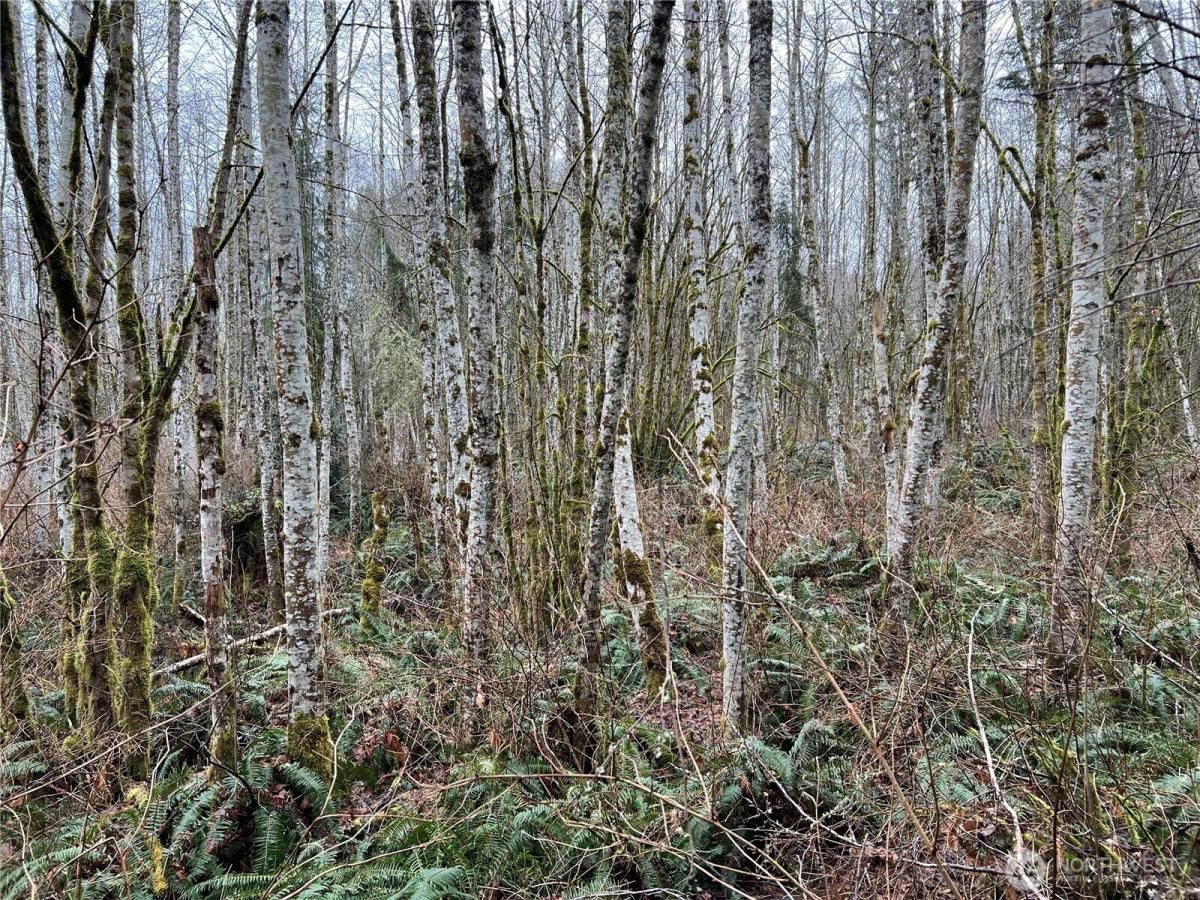 MLS #NWM2454641 img 0