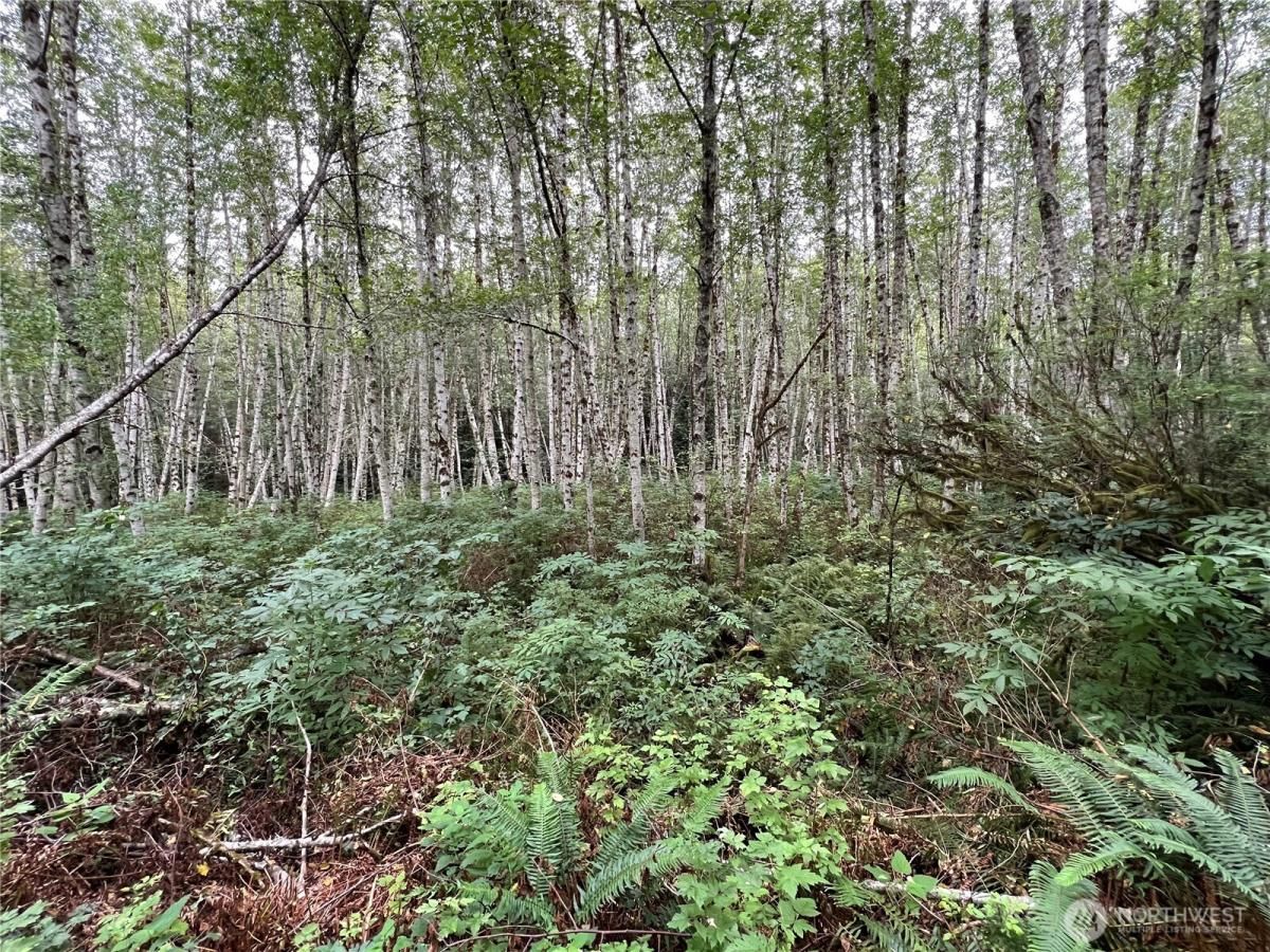 MLS #NWM2454960 img 0