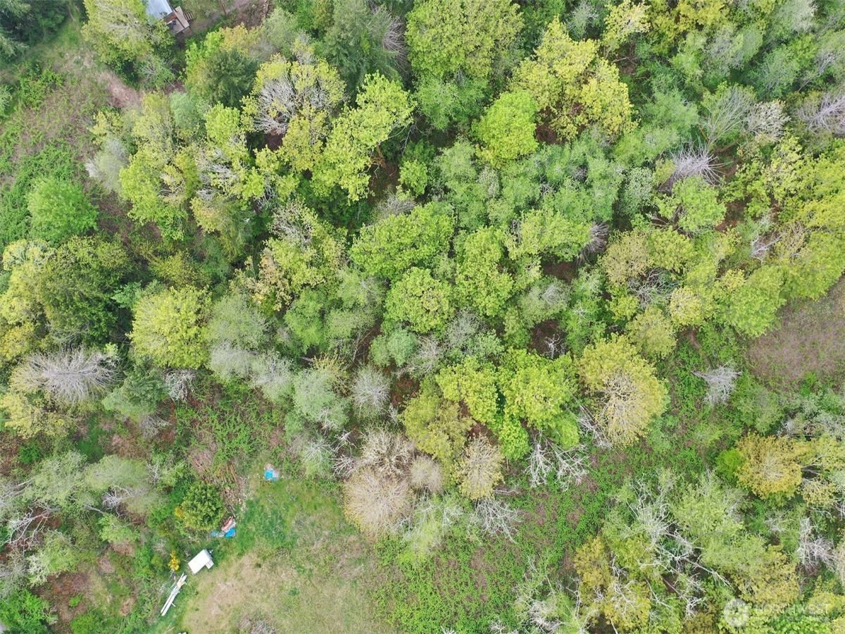 MLS #NWM2461279 img 0