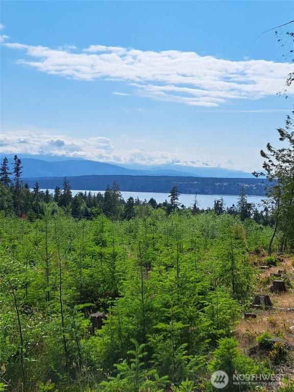 MLS #NWM2461687 img 0