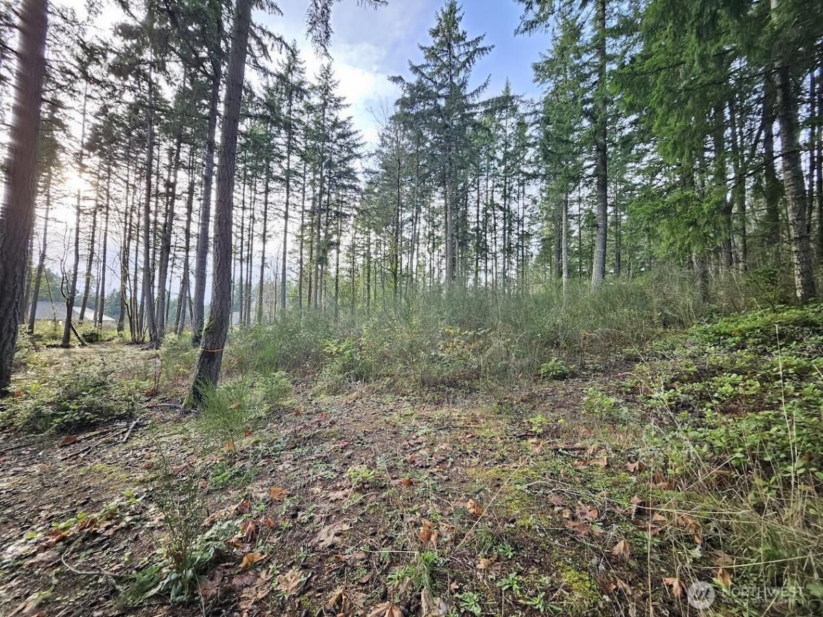 MLS #NWM2464870 img 0