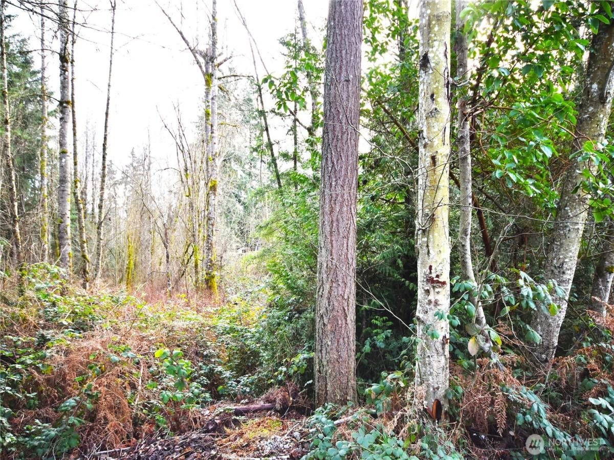 MLS #NWM2467182 img 0