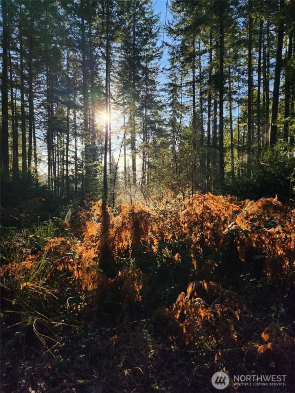 MLS #NWM2477145 img 0