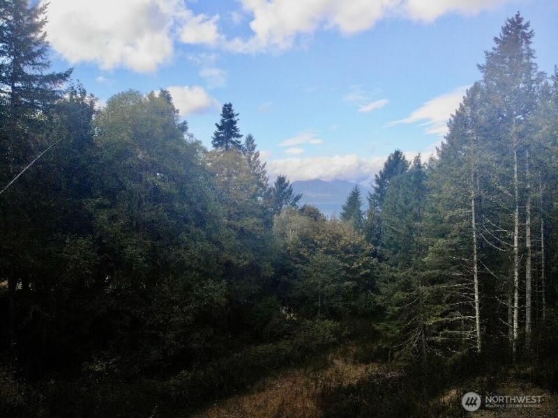 MLS #NWM2478994 img 0