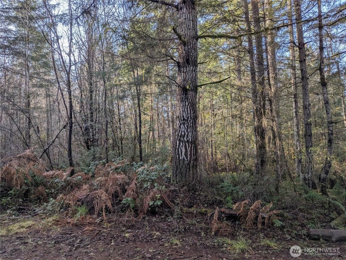 MLS #NWM2479502 img 0