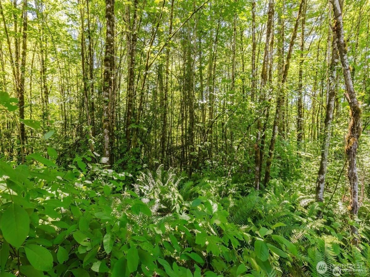 MLS #NWM2488956 img 0