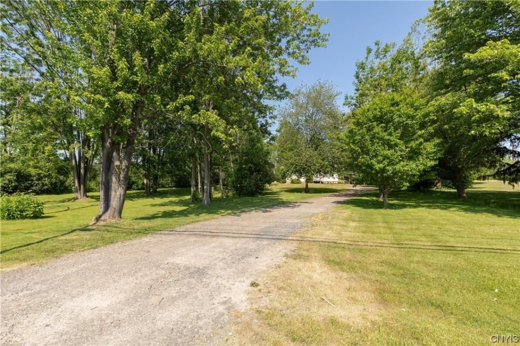 Find your home Concrete Jungle Realty