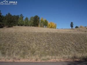 MLS #6215818 img 0