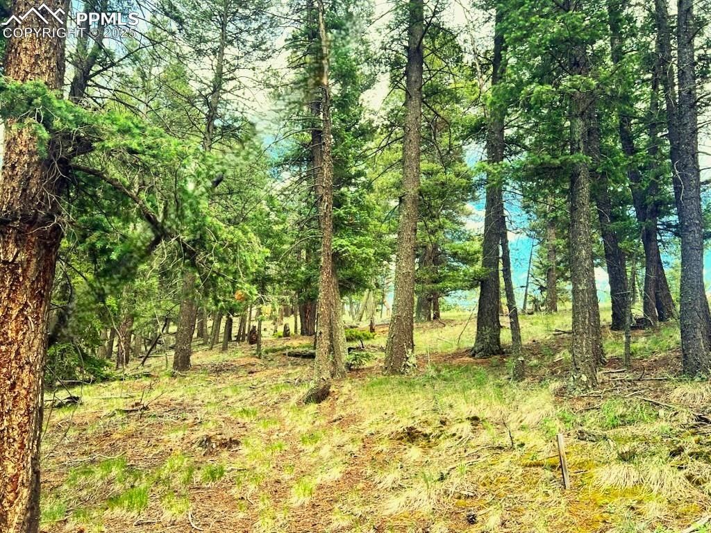 MLS #7678808 img 0