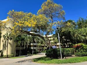MLS #RX-11024637 img 0