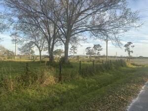 MLS #RX-11065847 img 0