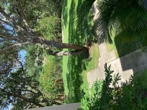 MLS #RX-11077756 img 0