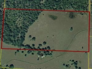 MLS #RX-11087291 img 0