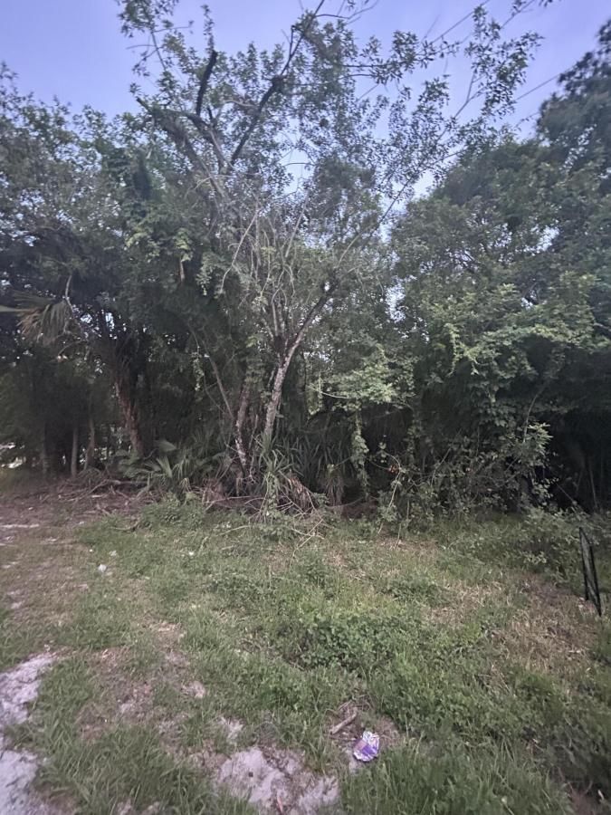 MLS #RX-11089589 img 0