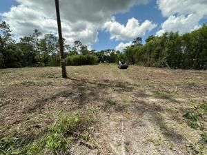 MLS #RX-11102762 img 0