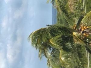 MLS #RX-11103570 img 0