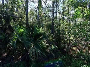 MLS #RX-11107462 img 0