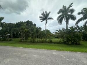 MLS #RX-11109253 img 0
