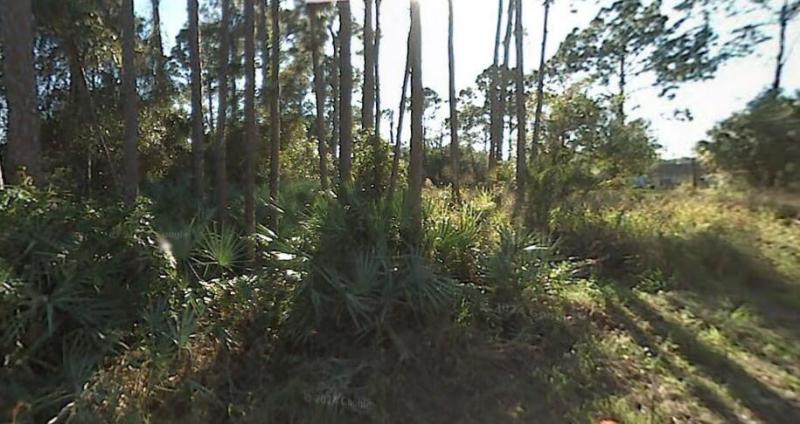 MLS #RX-11114724 img 0