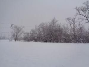 MLS #20230006876 img 0