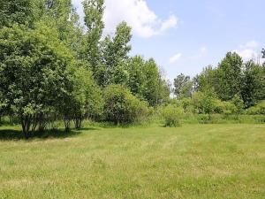 MLS #20240007185 img 0