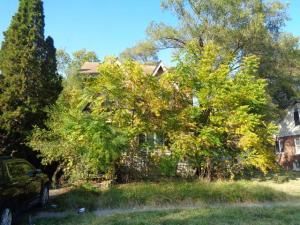 MLS #20240079179 img 0