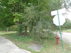 MLS #20240079403 img 0