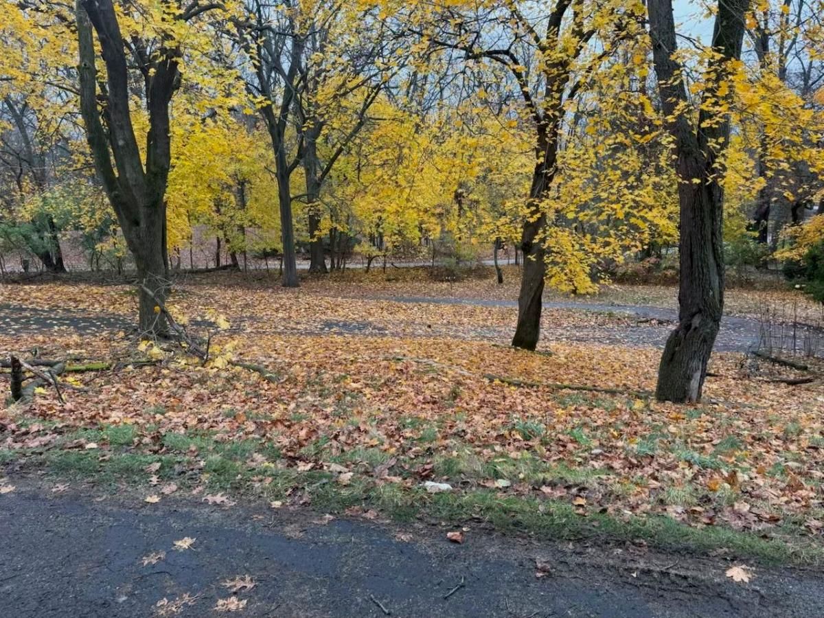 MLS #20240088700 img 0