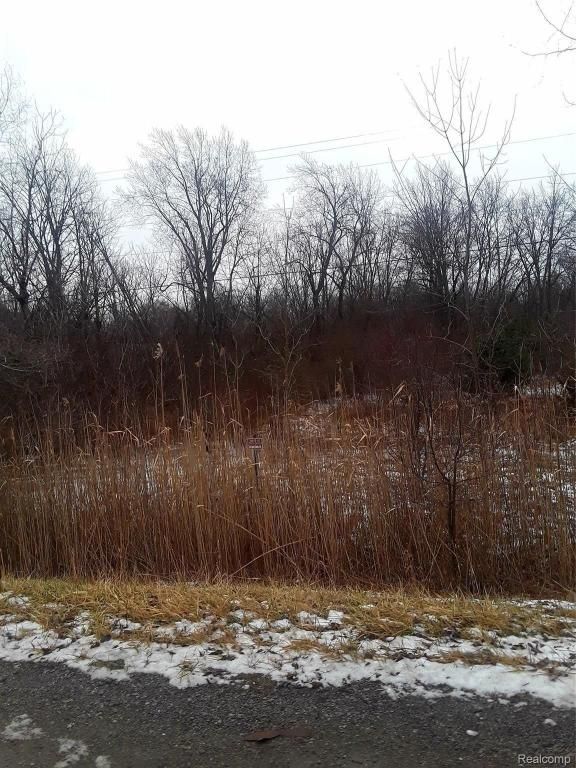 MLS #20250025026 img 0