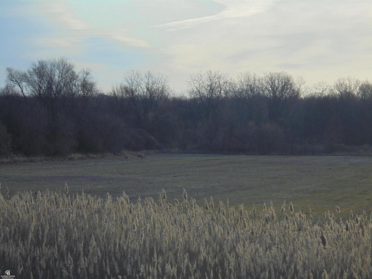 MLS #58050165819 img 0