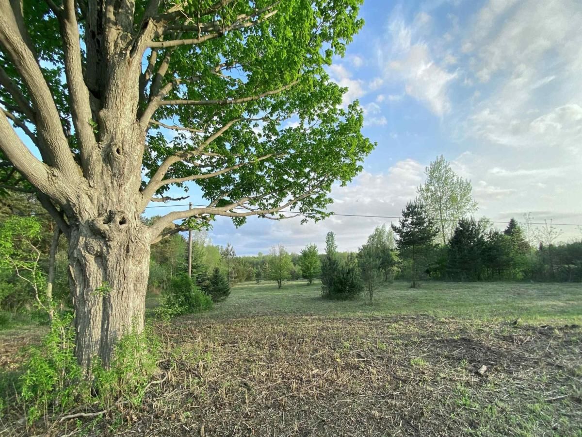 MLS #58050175123 img 0