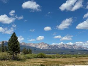 MLS #332088 img 0