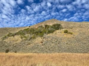 MLS #332828 img 0