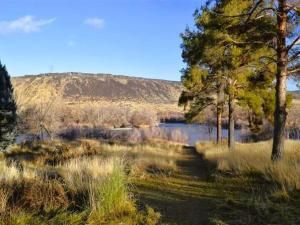 MLS #333361 img 0
