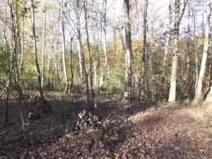 MLS #20281484 img 0