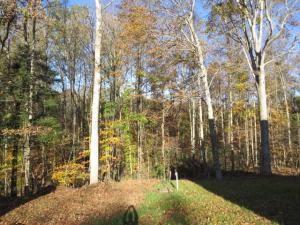 MLS #20281487 img 0