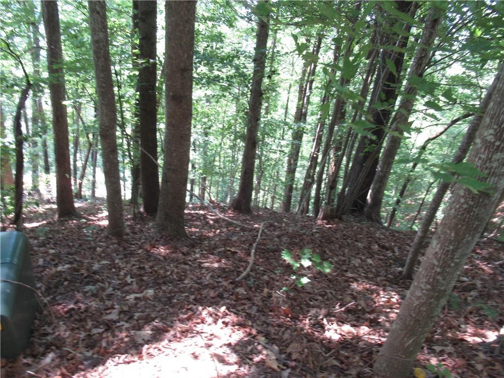 MLS #20284492 img 0