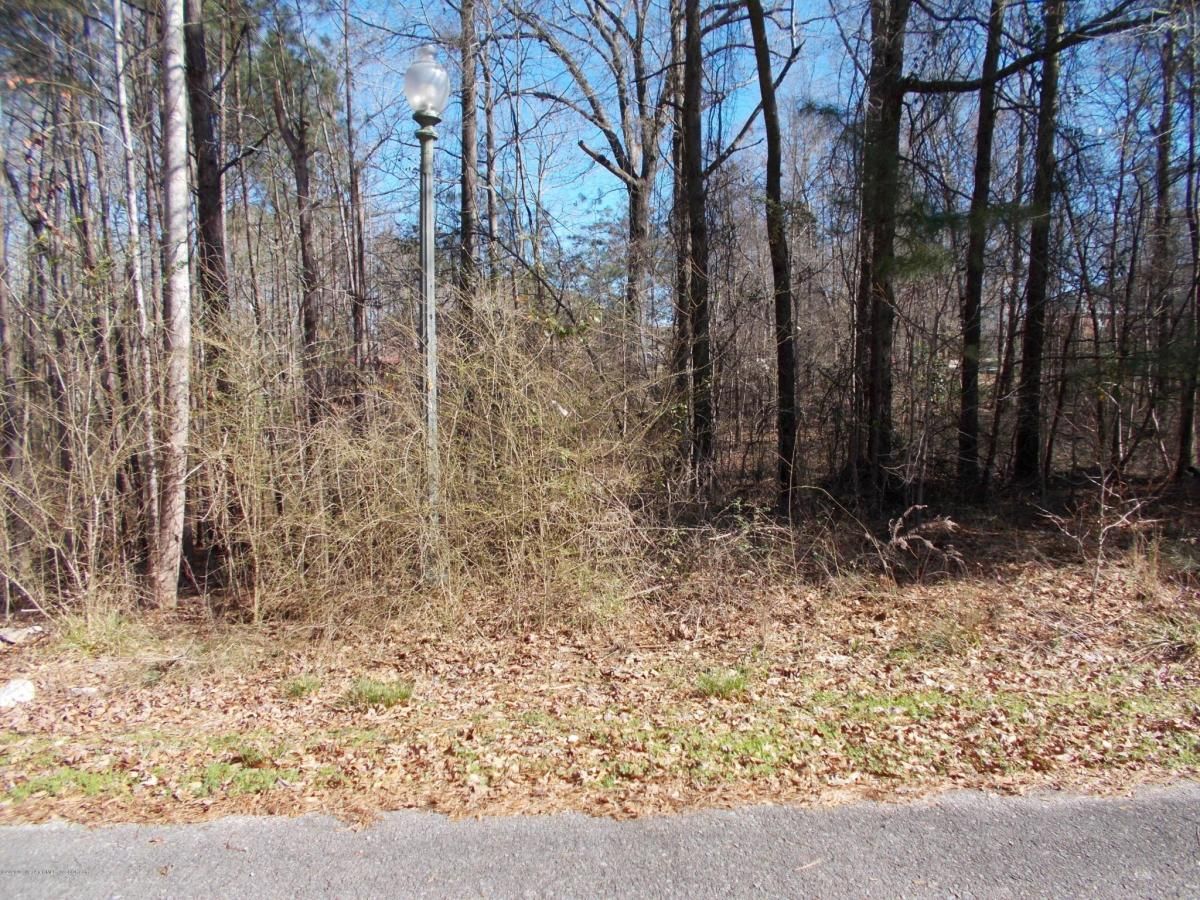 MLS #20-335 img 0