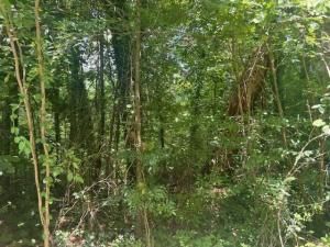 MLS #24-1634 img 0