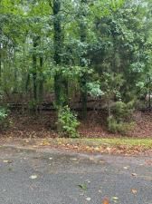 MLS #24-1858 img 0