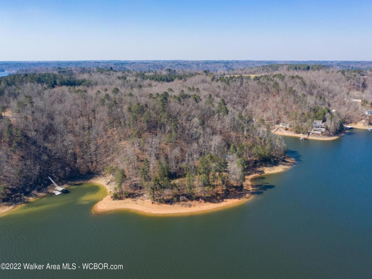 Smith Lake Alabama Waterfront Land Lots For Sale