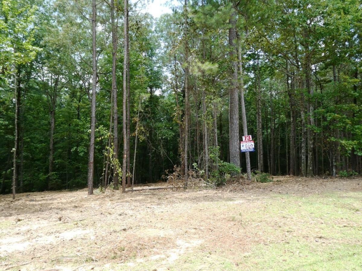 MLS #25-1302 img 0