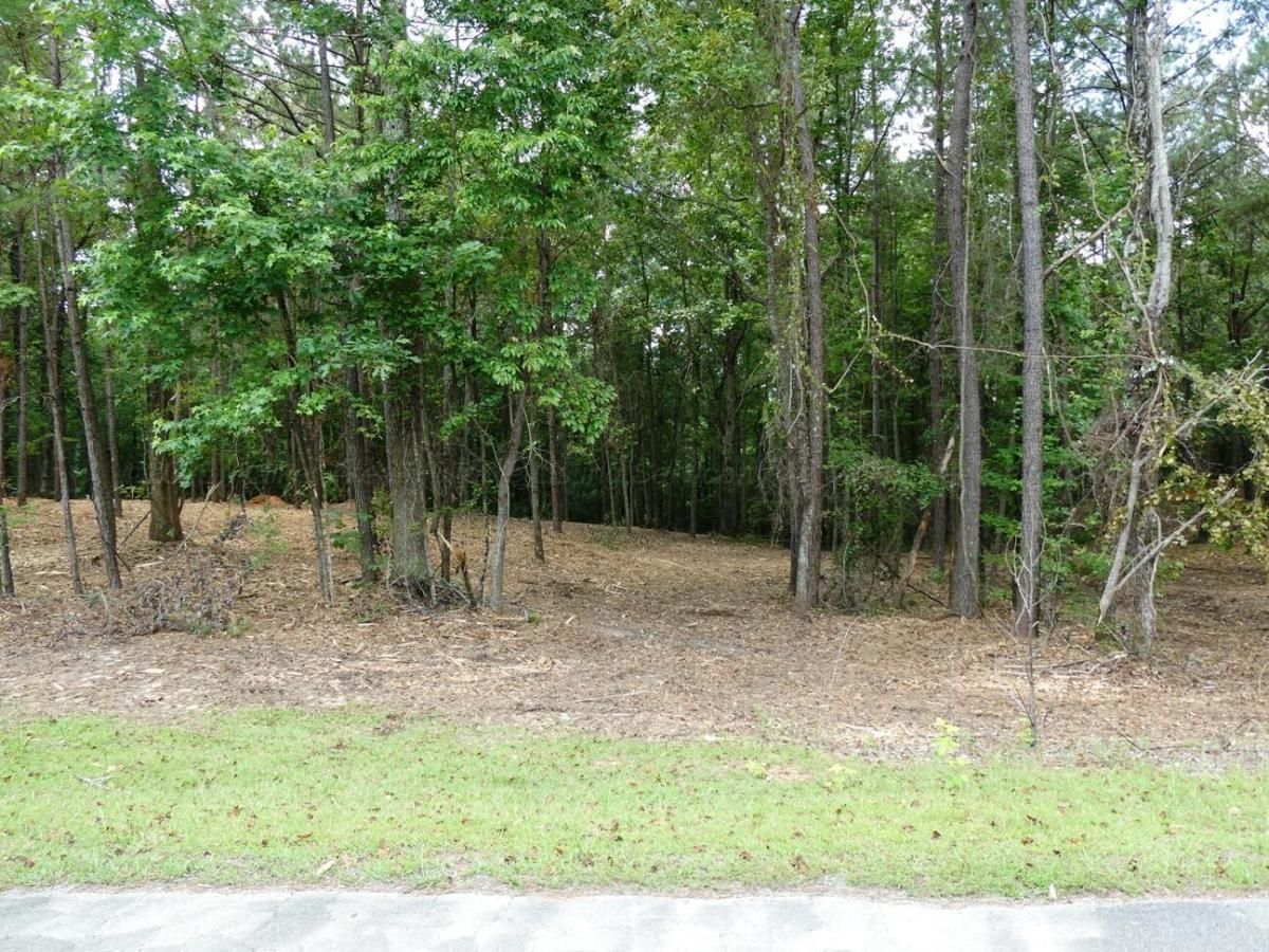 MLS #25-1303 img 0