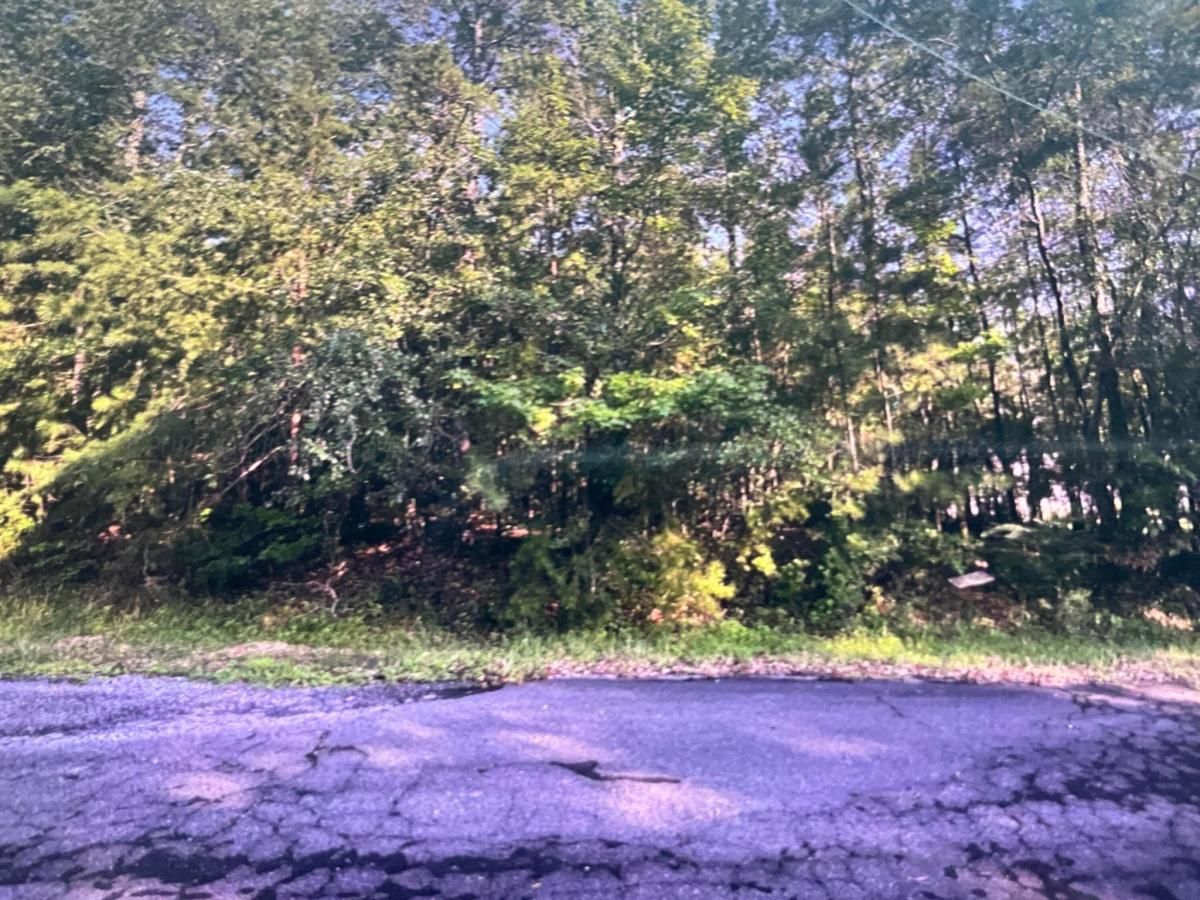 MLS #25-1434 img 0