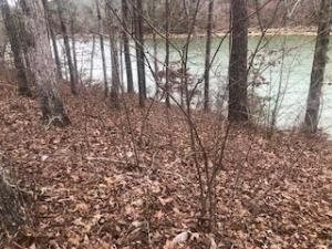 MLS #25-1528 img 0