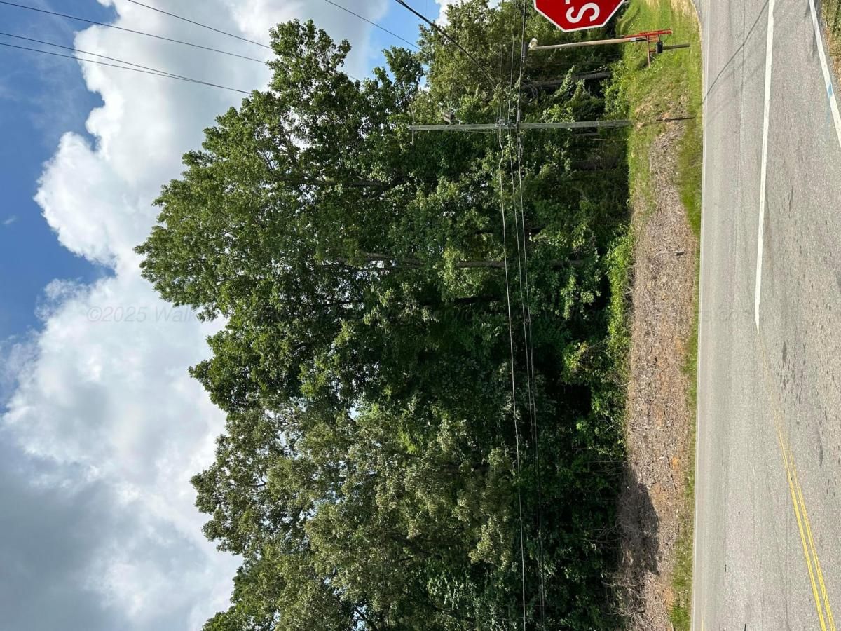 MLS #25-305 img 0